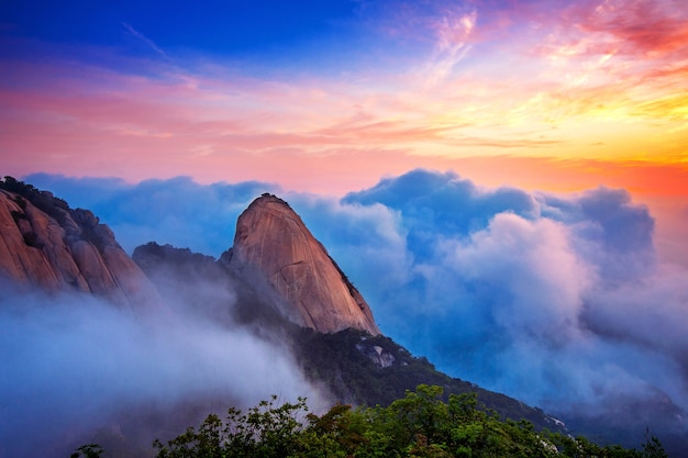 福緣創(chuàng)業(yè)網(wǎng)是真是假？揭秘平臺真實情況與用戶反饋
