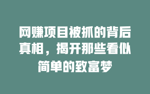 網賺項目被抓的背后真相，揭開那些看似簡單的致富夢