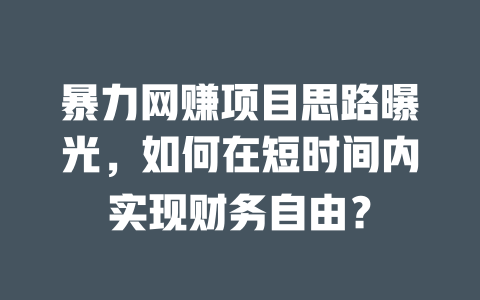 暴力網賺項目思路曝光，如何在短時間內實現財務自由？