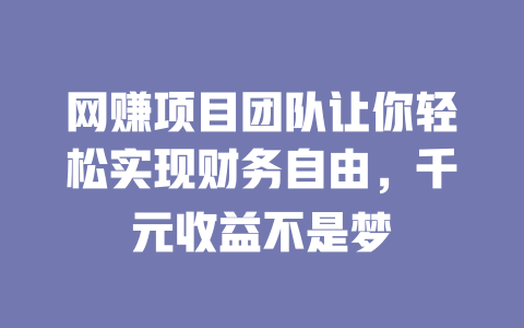 網賺項目團隊讓你輕松實現財務自由，千元收益不是夢