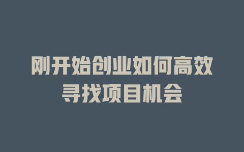 剛開始創業如何高效尋找項目機會