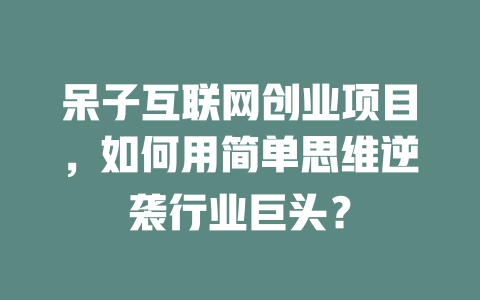 呆子互聯網創業項目，如何用簡單思維逆襲行業巨頭？