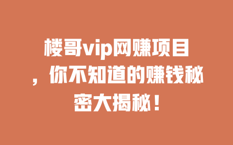 樓哥vip網賺項目，你不知道的賺錢秘密大揭秘！