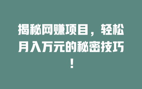 揭秘網(wǎng)賺項(xiàng)目，輕松月入萬(wàn)元的秘密技巧！