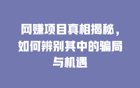網賺項目真相揭秘，如何辨別其中的騙局與機遇