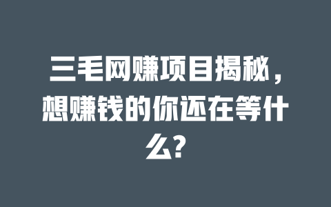 三毛網賺項目揭秘，想賺錢的你還在等什么?