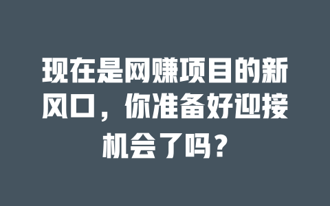 現在是網賺項目的新風口，你準備好迎接機會了嗎？