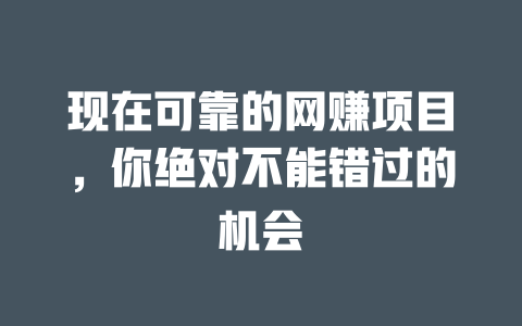 現在可靠的網賺項目，你絕對不能錯過的機會