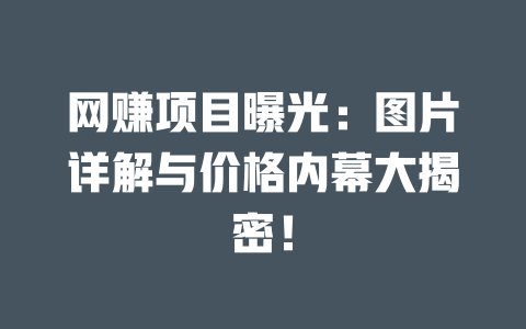 網賺項目曝光：圖片詳解與價格內幕大揭密！