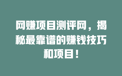 網賺項目測評網，揭秘最靠譜的賺錢技巧和項目！