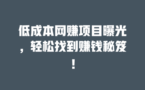 低成本網(wǎng)賺項(xiàng)目曝光，輕松找到賺錢(qián)秘笈！